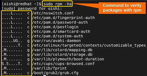 rpm to verify packages